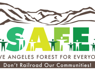 SAFE logo